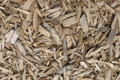 biomass boilers Brynmorfudd
